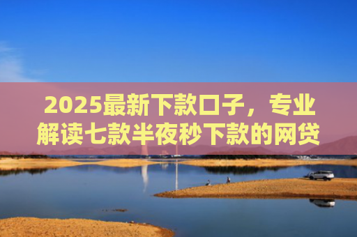 2025最新下款口子，专业解读七款半夜秒下款的网贷口子