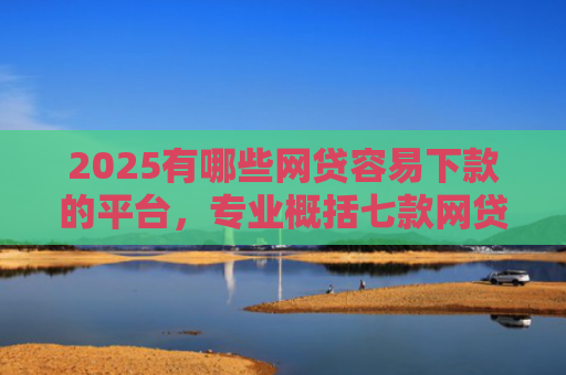 2025有哪些网贷容易下款的平台，专业概括七款网贷买会员必下款口子