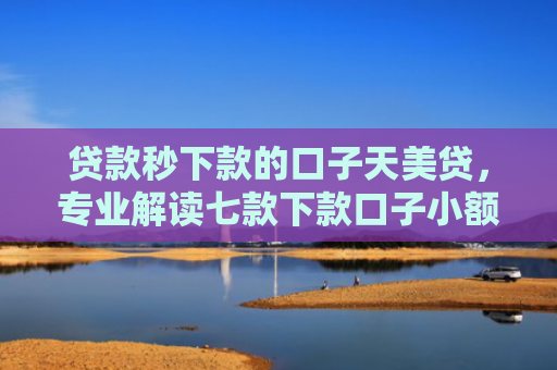 贷款秒下款的口子天美贷，专业解读七款下款口子小额贷款公司