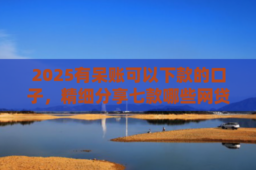 2025有呆账可以下款的口子，精细分享七款哪些网贷口子好下款的