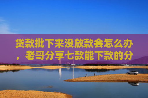 贷款批下来没放款会怎么办，老哥分享七款能下款的分期贷款口子