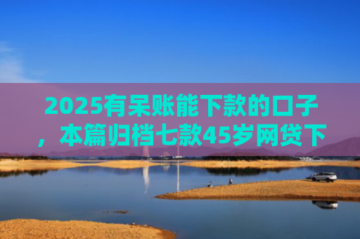 2025有呆账能下款的口子，本篇归档七款45岁网贷下款的口子