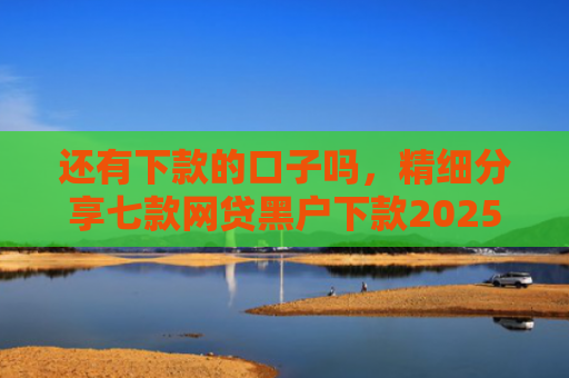 还有下款的口子吗，精细分享七款网贷黑户下款2025