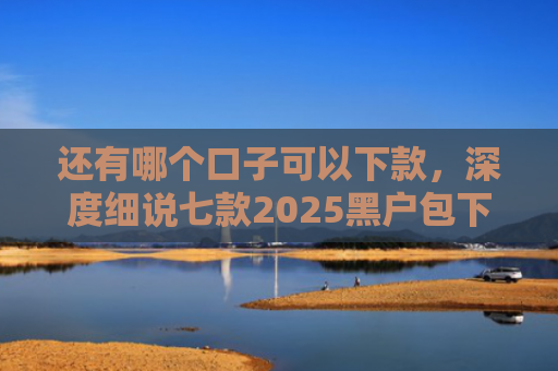 还有哪个口子可以下款，深度细说七款2025黑户包下款网贷