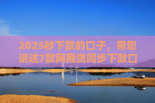 2025秒下款的口子，带您讲述7款网商贷同步下款口子