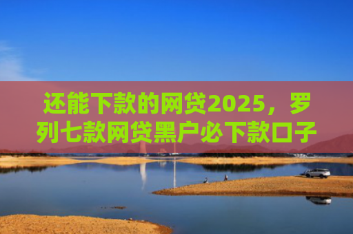 还能下款的网贷2025，罗列七款网贷黑户必下款口子