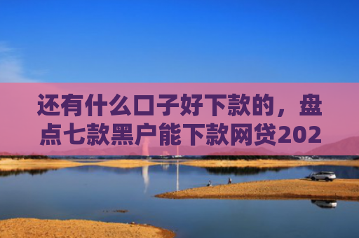 还有什么口子好下款的，盘点七款黑户能下款网贷2025