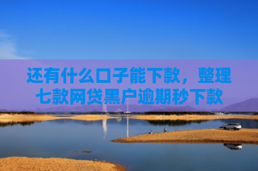 还有什么口子能下款，整理七款网贷黑户逾期秒下款