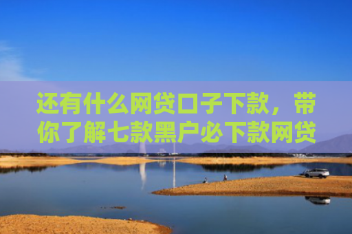 还有什么网贷口子下款，带你了解七款黑户必下款网贷口子