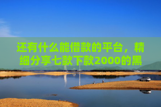 还有什么能借款的平台，精细分享七款下款2000的黑户网贷