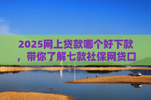 2025网上贷款哪个好下款，带你了解七款社保网贷口子那个下款快