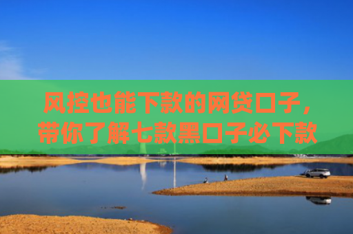 风控也能下款的网贷口子，带你了解七款黑口子必下款app2025的放款条件