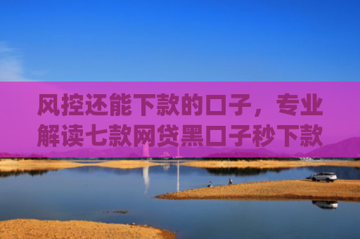 风控还能下款的口子，专业解读七款网贷黑口子秒下款app2025