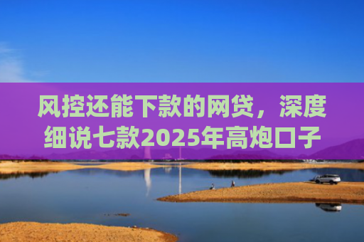风控还能下款的网贷，深度细说七款2025年高炮口子秒下款app