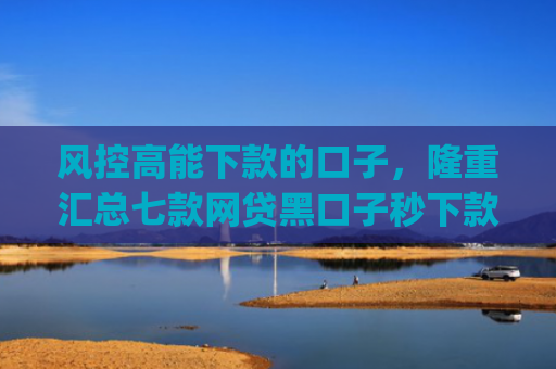 风控高能下款的口子，隆重汇总七款网贷黑口子秒下款app2025