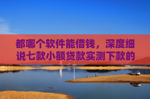 都哪个软件能借钱，深度细说七款小额贷款实测下款的口子