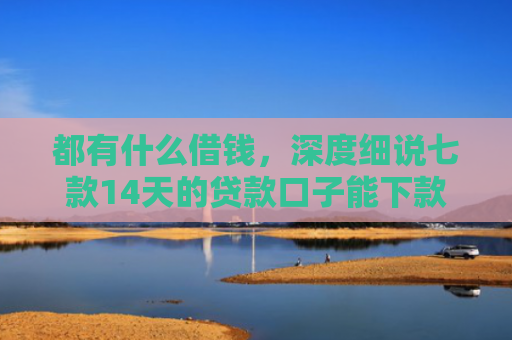都有什么借钱，深度细说七款14天的贷款口子能下款吗
