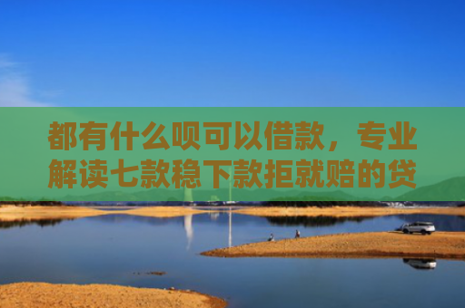 都有什么呗可以借款，专业解读七款稳下款拒就赔的贷款口子