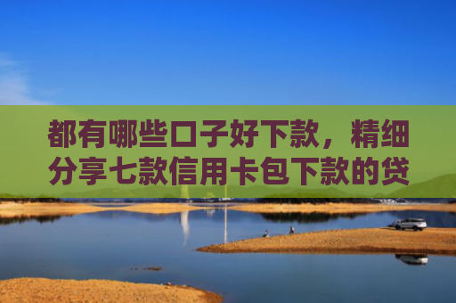 都有哪些口子好下款，精细分享七款信用卡包下款的贷款口子