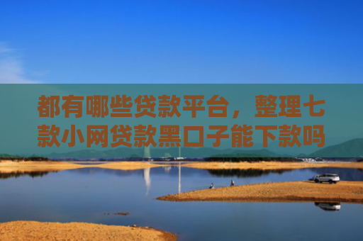 都有哪些贷款平台，整理七款小网贷款黑口子能下款吗