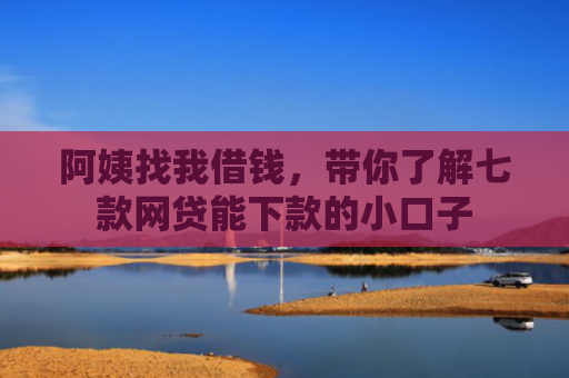 阿姨找我借钱，带你了解七款网贷能下款的小口子