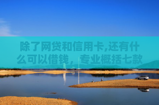 除了网贷和信用卡,还有什么可以借钱，专业概括七款黑口子必下款返佣平台