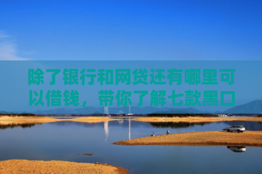 除了银行和网贷还有哪里可以借钱，带你了解七款黑口子可以下款的平台
