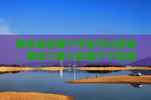 黑名单在哪个平台可以借钱，带你了解七款黑户下款的大额网贷