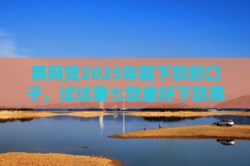 黑网贷2025年能下款的口子，试试看七款最好下款黑户的网贷口子