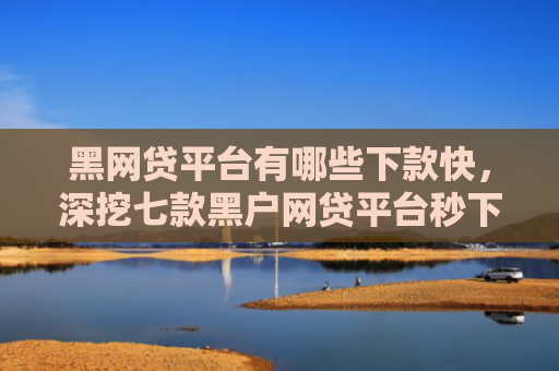 黑网贷平台有哪些下款快，深挖七款黑户网贷平台秒下款评论