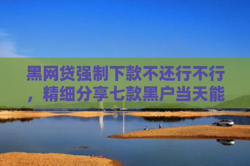 黑网贷强制下款不还行不行，精细分享七款黑户当天能下款的网贷