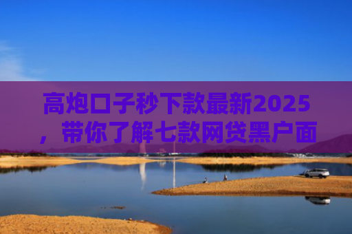 高炮口子秒下款最新2025，带你了解七款网贷黑户面签能下款吗
