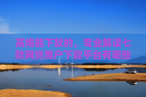 高炮能下款的，专业解读七款网贷黑户下款平台有哪些