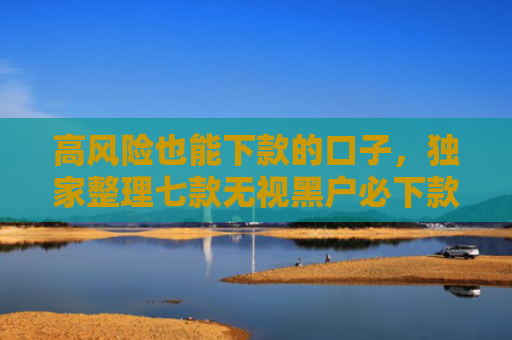 高风险也能下款的口子，独家整理七款无视黑户必下款的网贷