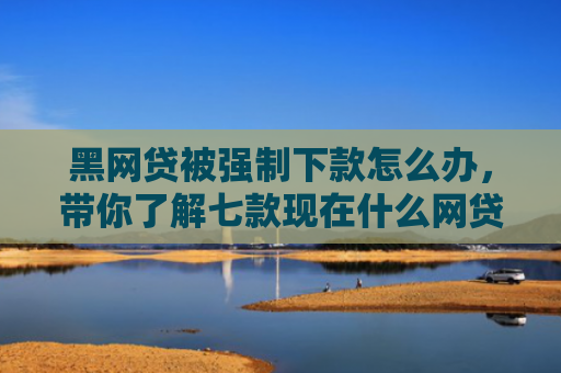 黑网贷被强制下款怎么办，带你了解七款现在什么网贷黑户能下款