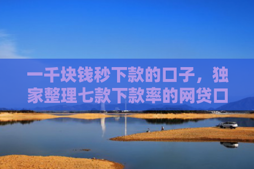 一千块钱秒下款的口子，独家整理七款下款率的网贷口子