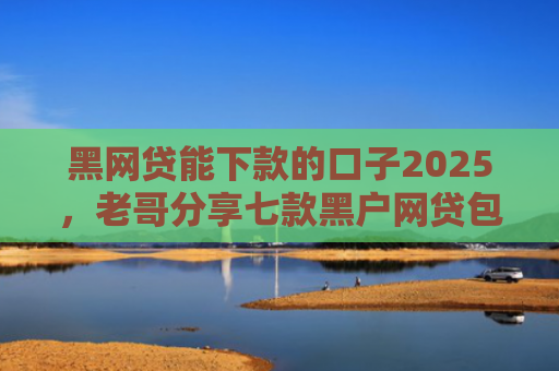 黑网贷能下款的口子2025，老哥分享七款黑户网贷包下款大口子