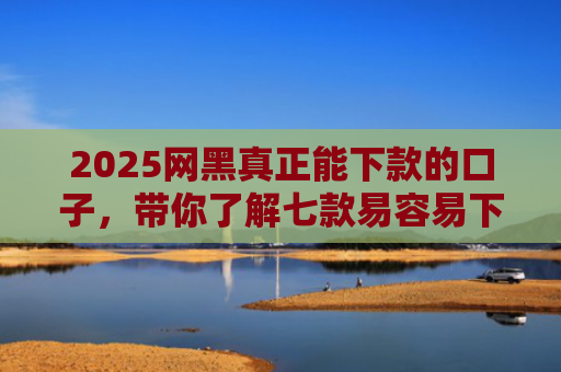 2025网黑真正能下款的口子，带你了解七款易容易下款的网贷口子