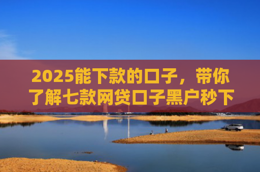 2025能下款的口子，带你了解七款网贷口子黑户秒下款