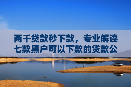 两千贷款秒下款，专业解读七款黑户可以下款的贷款公司