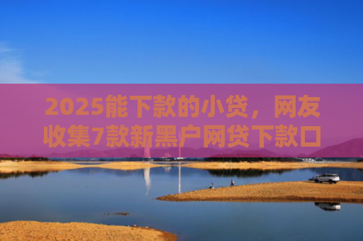 2025能下款的小贷，网友收集7款新黑户网贷下款口子