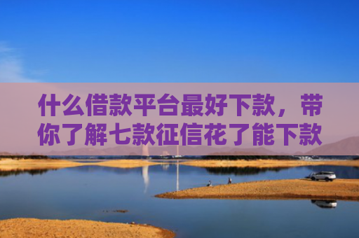 什么借款平台最好下款，带你了解七款征信花了能下款的贷款