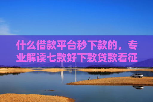 什么借款平台秒下款的，专业解读七款好下款贷款看征信嘛