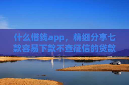 什么借钱app，精细分享七款容易下款不查征信的贷款