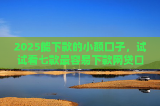 2025能下款的小额口子，试试看七款最容易下款网贷口子