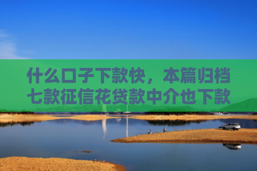 什么口子下款快，本篇归档七款征信花贷款中介也下款
