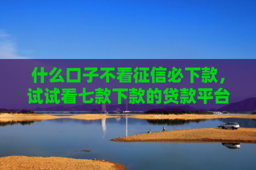 什么口子不看征信必下款，试试看七款下款的贷款平台不看征信