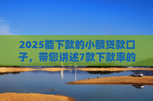 2025能下款的小额贷款口子，带您讲述7款下款率的网贷口子