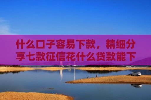 什么口子容易下款，精细分享七款征信花什么贷款能下款