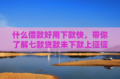 什么借款好用下款快，带你了解七款贷款未下款上征信吗